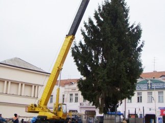 До кінця тижня в Ужгороді встановлять головну ялинку