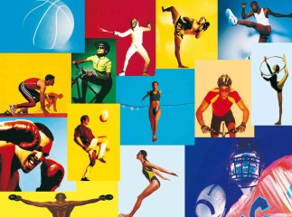 Обласні депутати схвалили програму розвитку фізичної культури і спорту в Закарпатській області