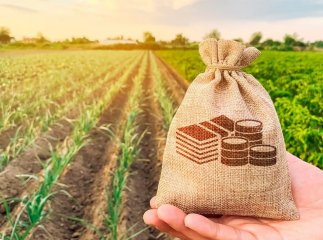 Земельний податок 2025: які категорії звільняються від сплати