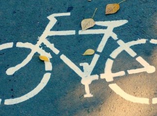 На Закарпатті відкриють українсько-угорську велодоріжку