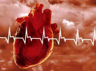 Увага! Бережіть дітей, їх можуть викрасти для пересадки органів