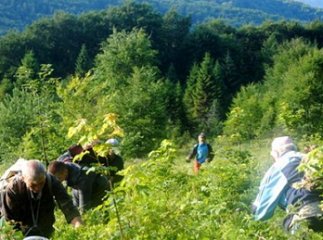 Збираючи яфини, люди виявили труп мукачівця, який зник ще наприкінці серпня