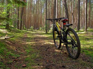 Із чоловіком, який пішов кататись на велосипеді, трапилось лихо