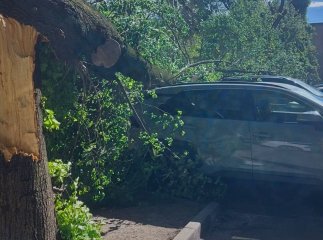 Загиблий, побиті авто і блекаути: наслідки негоди на Закарпатті