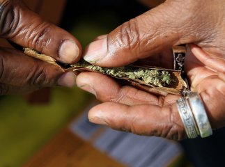 Мукачівські студенти "балувались" марихуаною