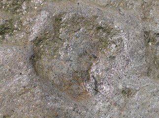 Легенди Закарпаття: на Перечинщині знаходиться камінь, що зцілює хворих