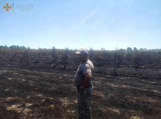 Місцеві виявили палія, з вини якого згорів яблуневий сад