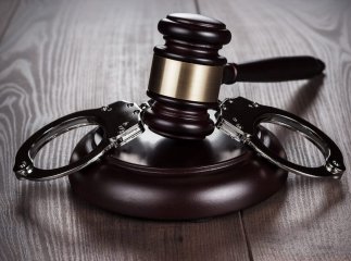 Закарпатський депутат став організатором злочинного бізнесу