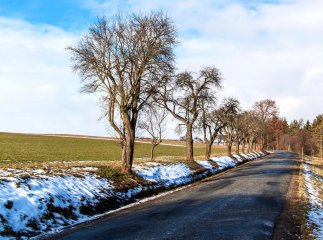 Коли в Україну прийде потепління і відступлять морози: синоптики назвали дату