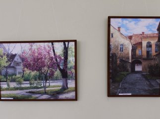 В обласному центрі показали "найправдивіший" пейзаж Ужгорода 