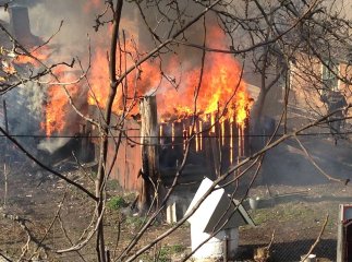 На Мукачівщині живцем ледь не згоріли порося та півсотні курей