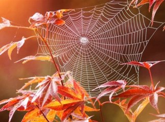 Кілька днів тепла, а потім дощі та холод: синоптик уточнив, якою буде погода у вересні