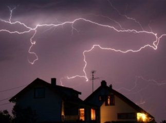 під яке дерево не можна ставати під час грози
