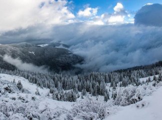 Для львів’янина відпочинок на Закарпатті закінчився неприємністю