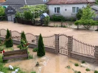 Вулиця перетворилась на річку: на Закарпатті негода наробила біди