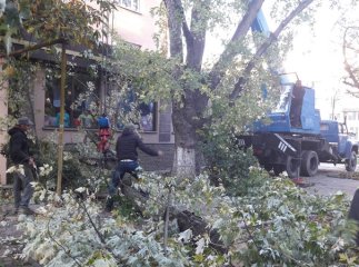 Сильний вітер наробив біди в Ужгороді