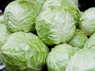Ціни на капусту падають: у чому причина Ціни на капусту падають: у чому причина