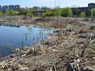 На громадські слухання щодо Парку Перемоги прийшли 120 ужгородців