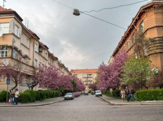 У міськраді Ужгорода обговорять включення "Малого Галагова" до спадщини ЮНЕСКО