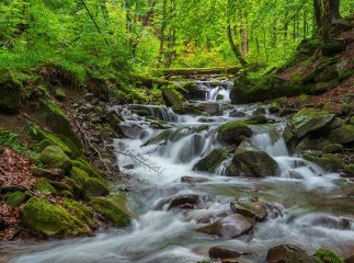 Рятувальники шукали туристів, які заблукали поблизу водоспаду Шипіт