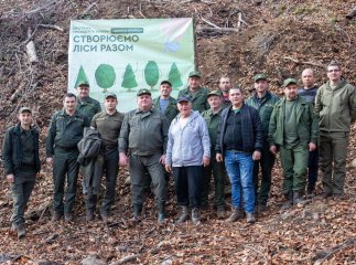 Як розвивається лісова галузь Закарпаття: Хустський лісгосп