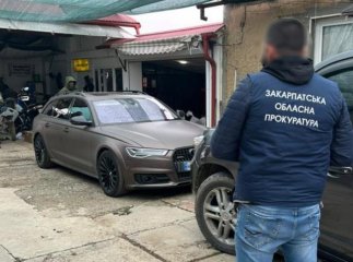 На Закарпатті знайшли масштабну наркоплантацію. Шістьох підозрюваних взяли під варту