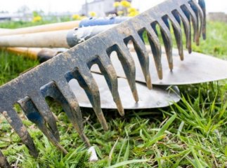 В Ужгороді оголосили місячник благоустрою