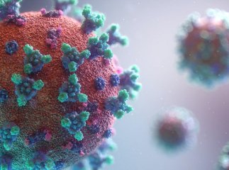 Новий штам коронавірусу "Кракен" виявлено на Закарпатті