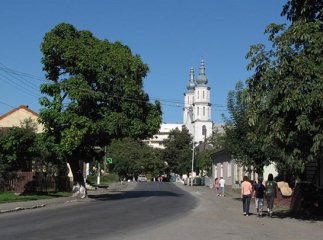 Турчинов призначив нового голову Перечинської РДА