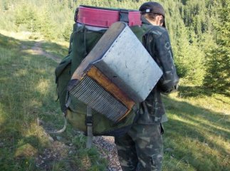 У Карпатах яфини збирають рекордно великою гребінкою
