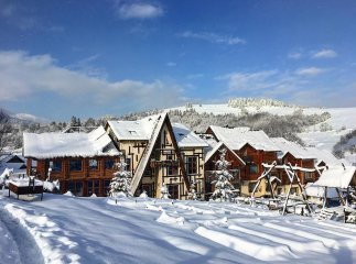 Незвичне новорічне святкування: на одному із карпатських курортів відбулася оголена вечірка
