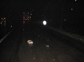 У Чинадієві водій збив 45-річного чоловіка, який переходив дорогу у недозволеному місці (ФОТО)