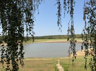У Бобовищі через обміління озера зафіксували масовий мор риби