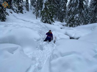 З’їхав у бік лісу: в горах заблукав лижник З’їхав у бік лісу: в горах заблукав лижник