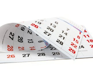 Митники розповіли українцям про зміни, які набули чинності із 7 листопада