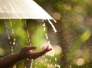 Синоптики розповіли, якою цього тижня буде погода на Закарпатті