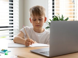 В одній із громад Закарпаття школи переводять на дистанційне навчання
