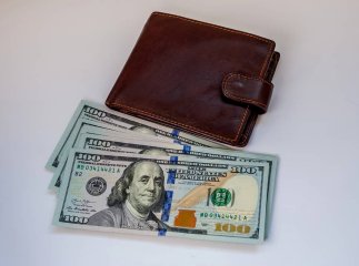 Що це за допомога від BLOOM для українців, в межах якої дають від 1000 доларів