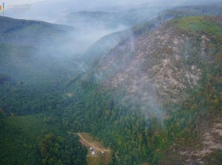 Понад 200 людей намагаються загасити лісову пожежу на Закарпатті