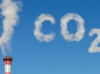 З початку року платники Закарпаття перерахували до бюджету 1 млн 590 тис. грн екологічного податку