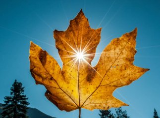 Прогнозують до +18 градусів: чи надовго в Закарпатті затримається тепло Прогнозують до +18 градусів: чи надовго в Закарпатті затримається тепло