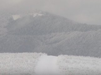 У горах Закарпаття засніжило