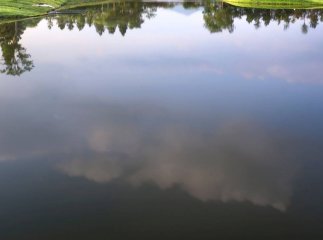 У закарпатському селі в святковий день стався трагічний випадок