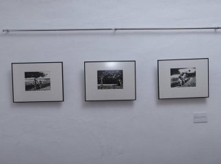 У Мукачеві презентували фотовиставку "Політика тіла"