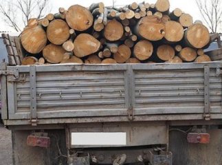 Очільник Перечинської поліції розповів про методи боротьби з "лівими" горілкою та деревиною