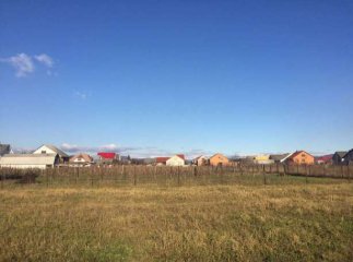 На Тячівщині сталось нечуване за своєю жорстокістю вбивство