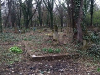 В Ужгороді священики та семінаристи греко-католицької церкви прибрали старовинне кладовище