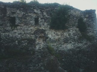 У соцмережах гадають, що це за "привид", сфотографований серед руїн Хустського замку