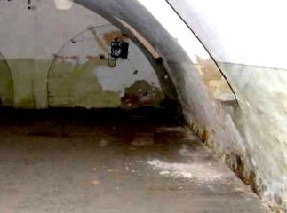 На Закарпатті загинули чоловік і жінка у підвалі свого будинку