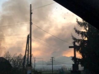 Практично всі села у їдкому диму: на Закарпатті люди масово спалюють сухе листя